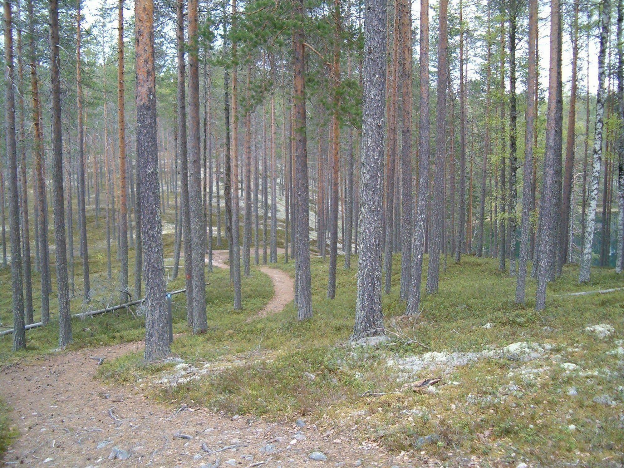 Manamansalo Camping Экстерьер фото